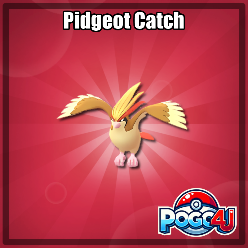 Pidgeot Catch
